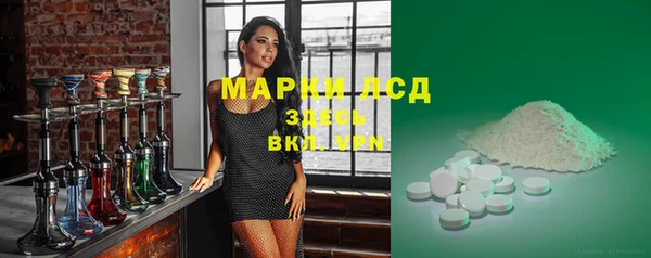 стаф Алзамай