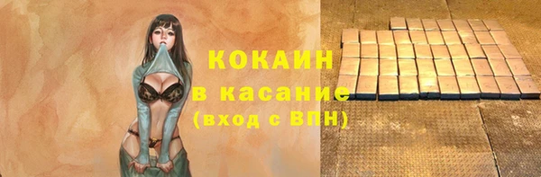 МДПВ Ельня