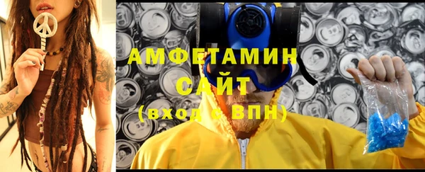 стаф Алзамай
