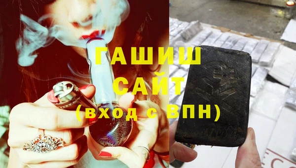стаф Алзамай