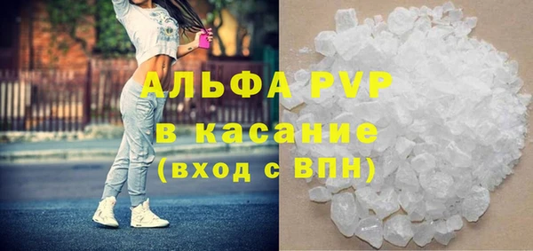 стаф Алзамай