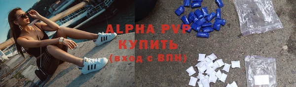 стаф Алзамай