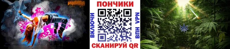 Шишки марихуана Bruce Banner  купить  сайты  Азов 